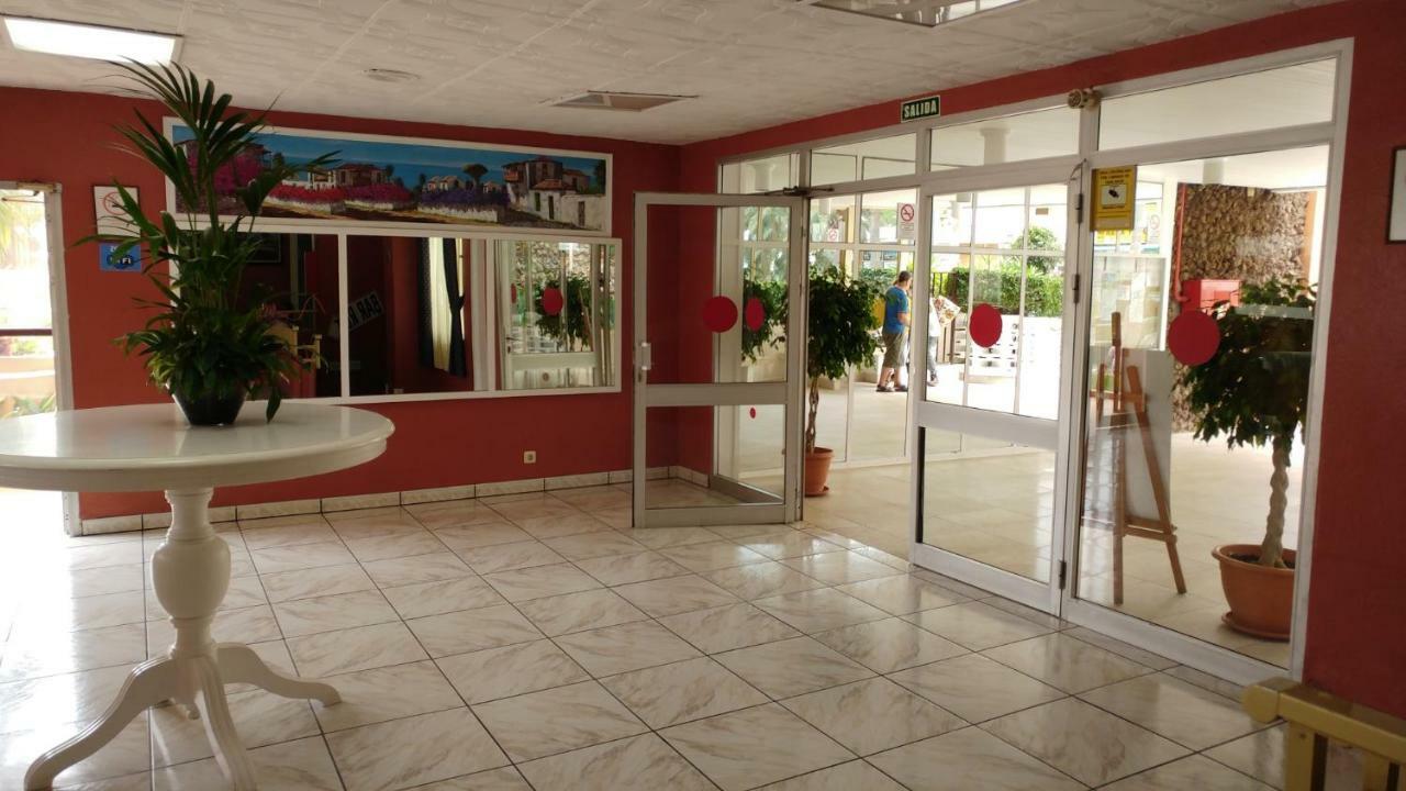 Charming Studio Apartment Puerto de la Cruz  Dış mekan fotoğraf